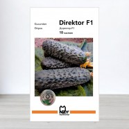 Насіння огірка Директор F1, АПГ Nunhems, Нідерланди, 10 насінин